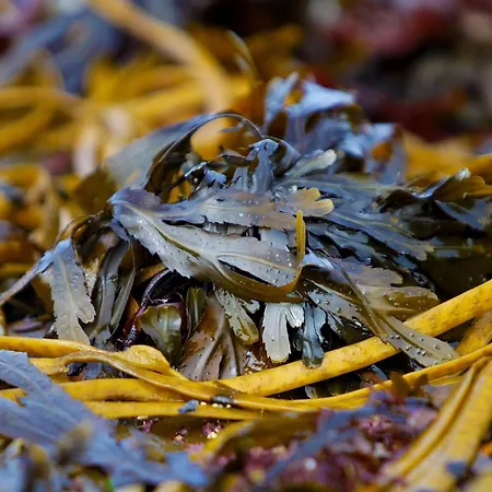 Homes Type C By Trident Homes Дом отдыха